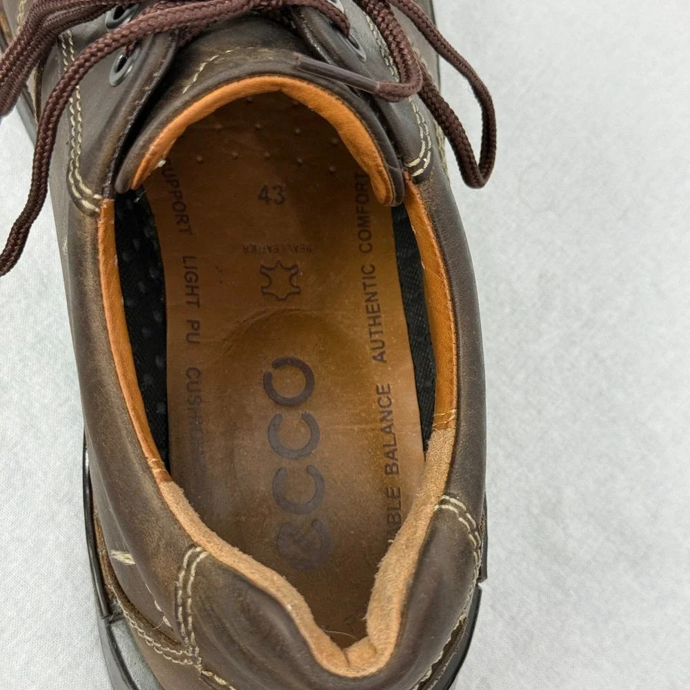 Ecco men fusion